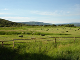 1251588342_cr summit meadow