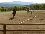 1251588472_sammy & amber arena