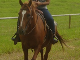 1251590430_ali & buddy