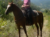 1251590477_annnie & buddy on alis loop