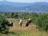 1251652368_group trail ride