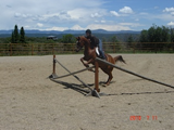 DSC03331