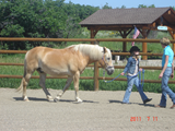 dsc03645