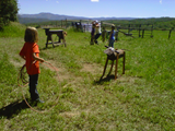 img00390-20110715-1131