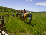 img00391-20110715-1132