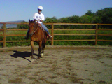 img00402-20110720-0834
