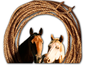 cr_summit_horses